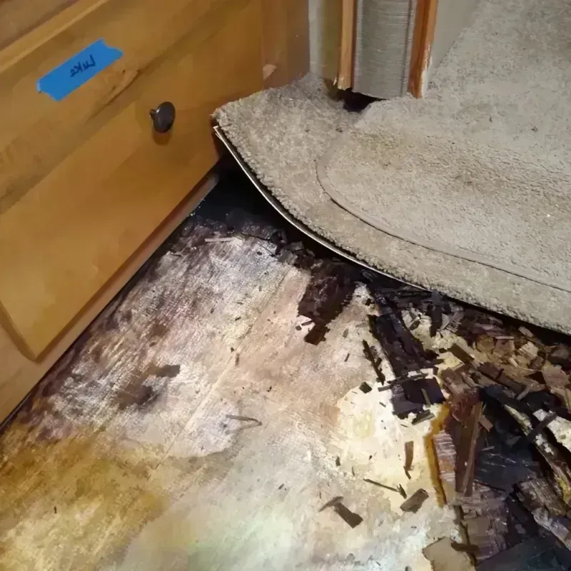 Wood Floor Water Damage in Madeira Beach, FL